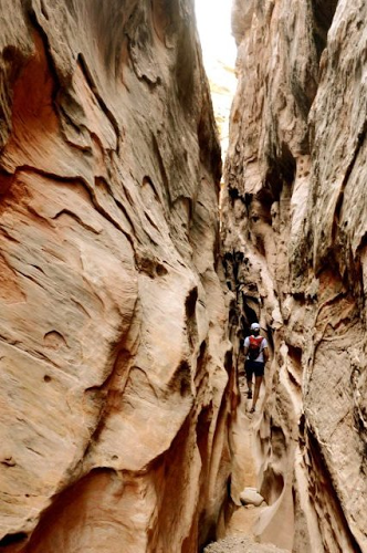 Jennifer Ryan Photo 21