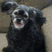 Sharon Irwin Photo 14