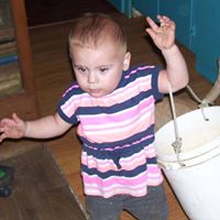 Robin Vandyke Photo 9