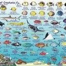 William Mccullough Photo 17