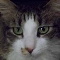 Connie Wilkerson Photo 12