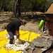 Mel Shearer Photo 11