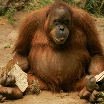 Jared Stark Photo 34