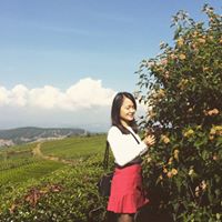 Phung Nguyen Photo 8