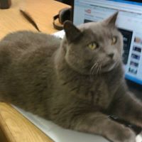 Beth Spaulding Photo 5