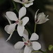 Rita Anderson Photo 20