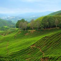 Claudia Lee Photo 38