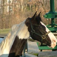 Pamela Jensen Photo 15