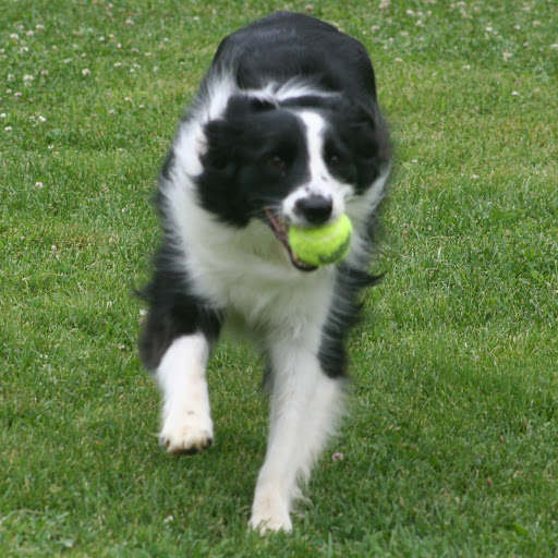 Christine Malone Photo 15 Christine Malone Photo 15