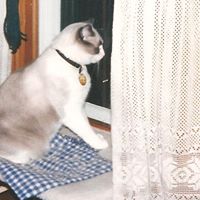 Nancy Halvorson Photo 11