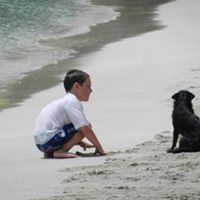 Andrea Palmer Photo 45