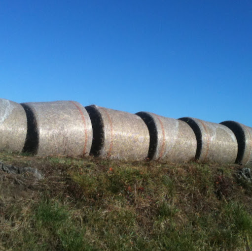 Jason Knight Photo 14