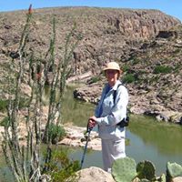 Susan Sander Photo 16