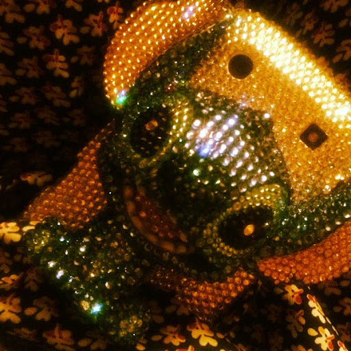 Joanna Jenkins Photo 14