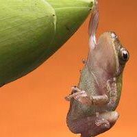 Kathleen Griggs Photo 6