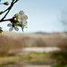 Bud Willey Photo 6