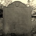 Sarah Winn Photo 4