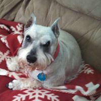 Dorothy Sims Photo 23