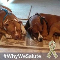 Gilbert Reynolds Photo 9 Gilbert Reynolds Photo 9