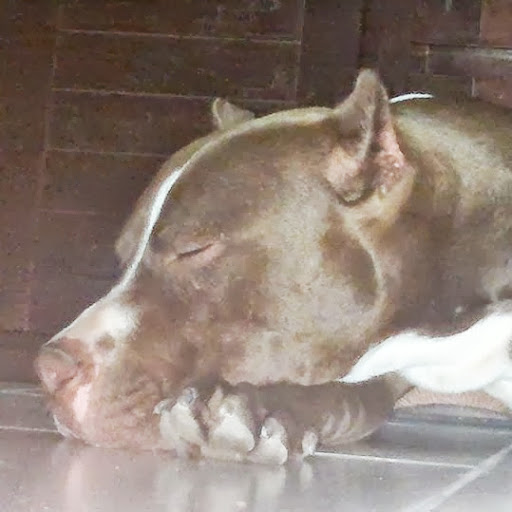 Manuel Real Photo 12 Manuel Real Photo 12