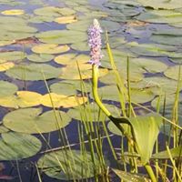 Jennifer Oldenburg Photo 12