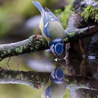 Traci Boudreau Photo 6