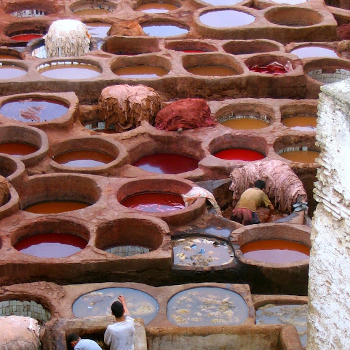 Claire Chambers Photo 34