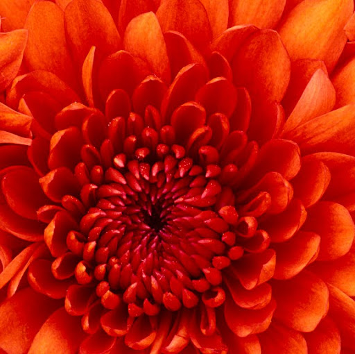 Erika Tucker Photo 5