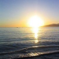 Michelle Lind Photo 36