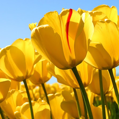 Vicki Romero Photo 18 Vicki Romero Photo 18