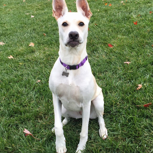 Jeffrey Kline Photo 28