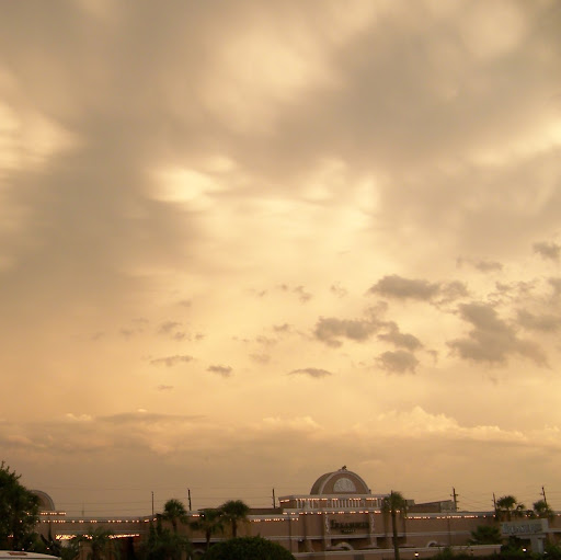 Tommy Spence Photo 5