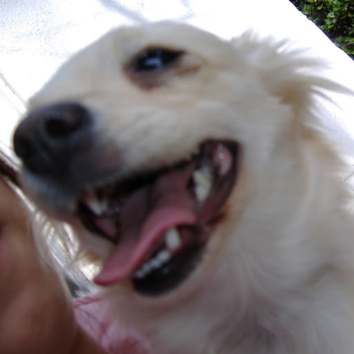 David Christianson Photo 26