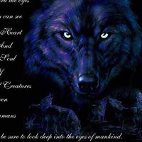 Darrell Atkinson Photo 8