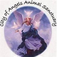 Mike Ramirez Photo 1