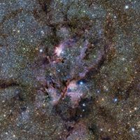 Timothy Silvers Photo 3