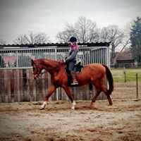 Sandra Urban Photo 9