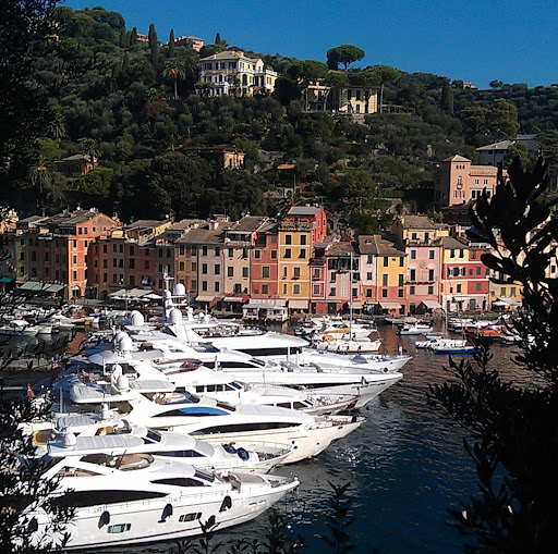 Jill Mcgowan Photo 26