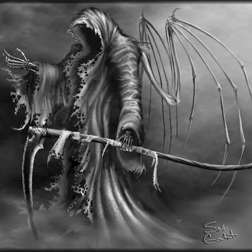 Marcus Paterson Photo 14