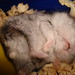 Juanita Winter Photo 5