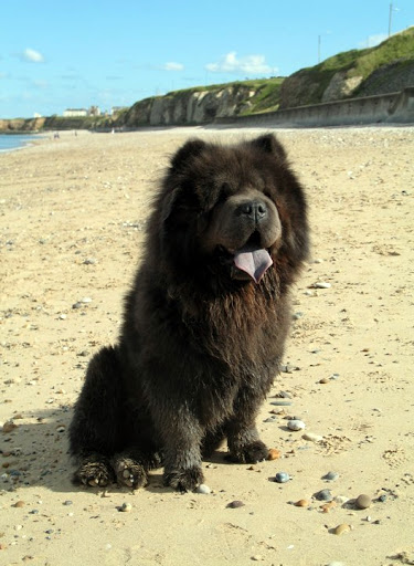 Cheryl Lancaster Photo 7