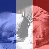 Lori Russell Photo 18