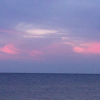 Martha Kendrick Photo 18