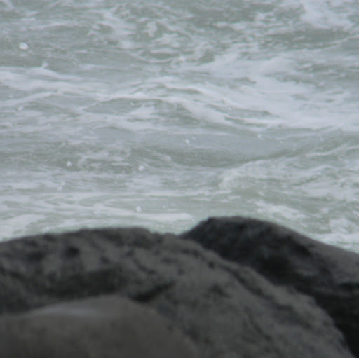 Gayle Green Photo 23