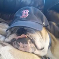 Sharon Proctor Photo 18