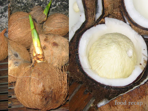 Nancy Clayton Photo 36