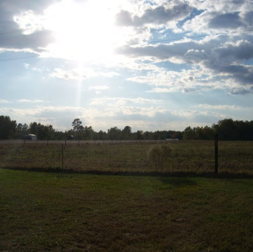 Janice Davis Photo 10