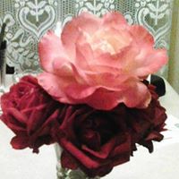 Patricia Lord Photo 24