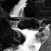 Alfred Eddy Photo 8