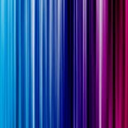 Pauline Shepherd Photo 4